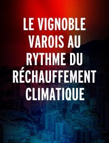 Le vignoble varois au rythme du réchauffement climatique