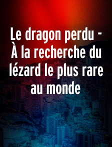 Le dragon perdu - À la recherche du lézard le plus rare au monde