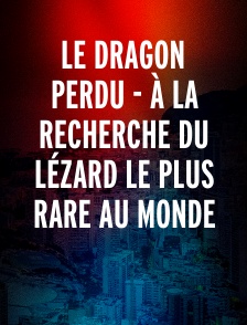 Le dragon perdu - À la recherche du lézard le plus rare au monde