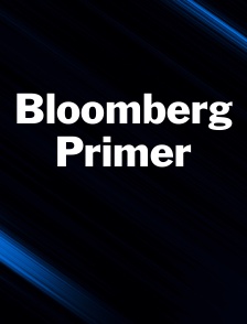 Bloomberg Primer