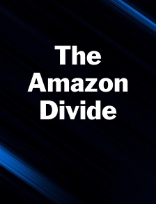 The Amazon Divide