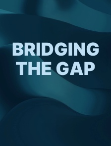 Bridging the Gap