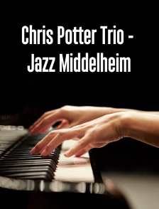 Chris Potter Trio - Jazz Middelheim