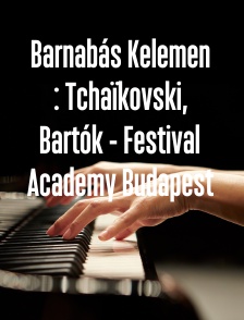 Barnabás Kelemen : Tchaïkovski, Bartók - Festival Academy Budapest