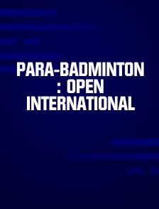 Para-badminton : Open international