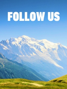 Follow Us