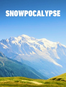 Snowpocalypse