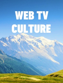 Web tv culture