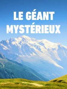 Le géant mystérieux