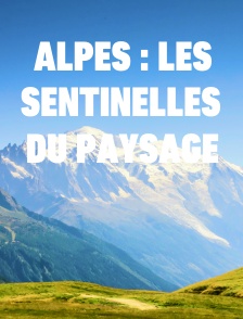 Alpes : les sentinelles du paysage