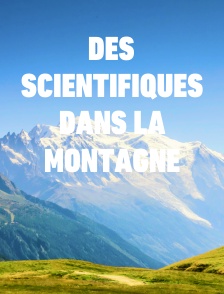 Des scientifiques dans la montagne
