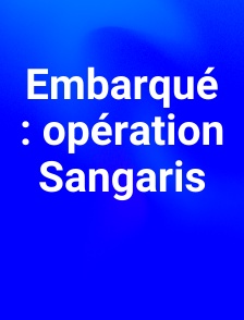 Embarqué : opération Sangaris