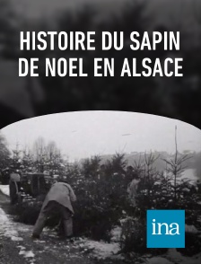 INA - Histoire du sapin de noël en Alsace