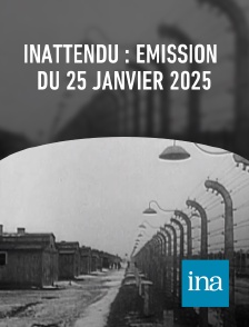 INA - Inattendu : émission du 25 janvier 2025