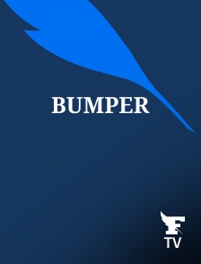 Le Figaro TV - Bumper