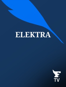 Le Figaro TV - Elektra