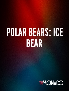 TV Monaco - Polar Bears: Ice Bear