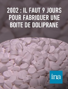 INA - 2002 : il faut 9 jours pour fabriquer une boite de Doliprane