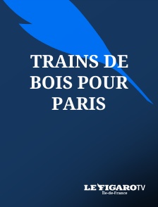 Le Figaro TV Île-de-France - Trains de bois pour Paris