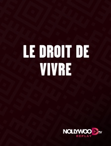 Nollywood Replay - Le droit de vivre