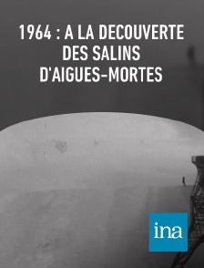 INA - 1964 : à la découverte des salins d'Aigues-Mortes