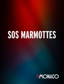 TV Monaco - Sos Marmottes