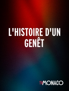 TV Monaco - L'histoire d'un Genêt