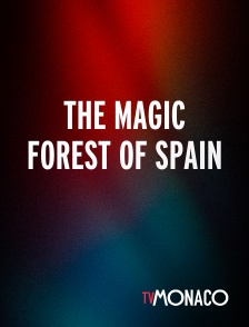 TV Monaco - The magic forest of Spain
