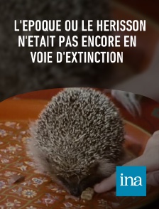 INA - L'époque où le hérisson n'était pas encore en voie d'extinction