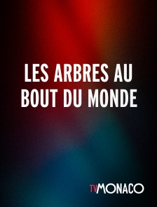 TV Monaco - Les arbres au bout du monde