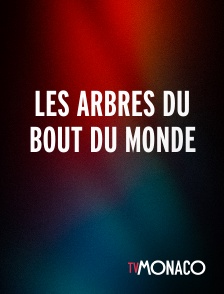 TV Monaco - Les arbres du bout du monde