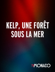 TV Monaco - Kelp, une forêt sous la mer