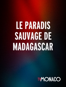 TV Monaco - Le paradis sauvage de Madagascar