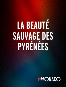 TV Monaco - La beauté sauvage des Pyrénées