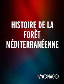 TV Monaco - Histoire de la forêt méditerranéenne