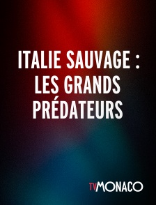 TV Monaco - Italie sauvage : Les grands prédateurs