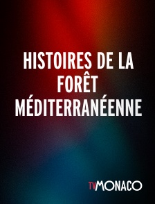 TV Monaco - HISTOIRES DE LA FORÊT MÉDITERRANÉENNE