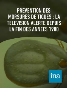 INA - Prévention des morsures de tiques : la télévision alerte depuis la fin des années 1980
