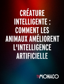 TV Monaco - Créature intelligente : Comment les animaux améliorent l'intelligence artificielle