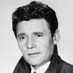 Harry Guardino - Acteur