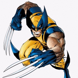 Wolverine - Personnage d'animation