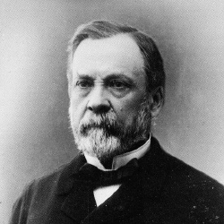 Louis Pasteur - Scientifique