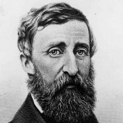 David Thoreau - Philosophe