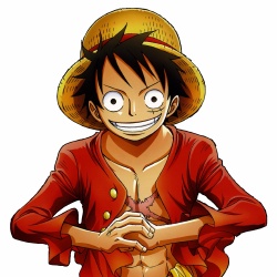 Monkey D. Luffy - Personnage d'animation