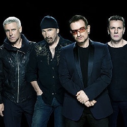 U2 - Musicien