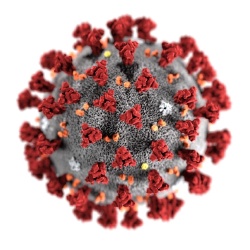 Covid-19 - Virus