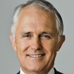 Malcolm Turnbull - Homme d'affaire