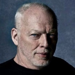 David Gilmour - Musicien