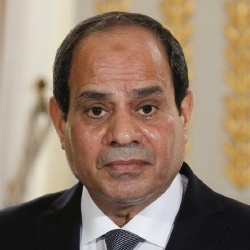 Abdel Fattah al-Sissi - Politique