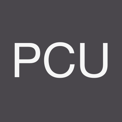 Paolo Cherchi Usai - Intervenant